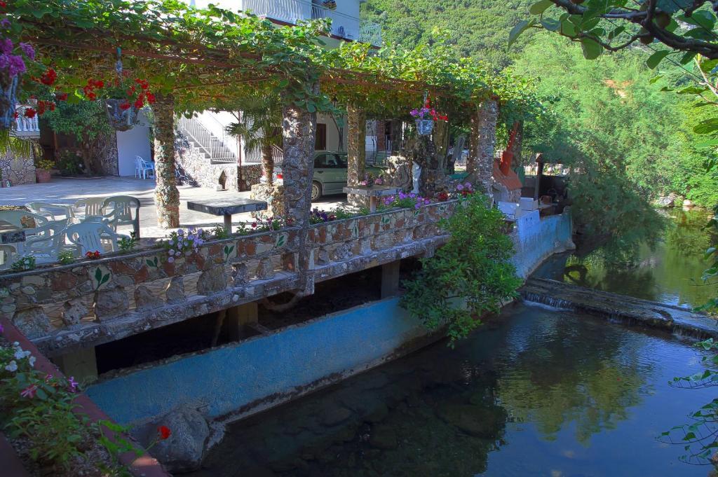 Radonjic Apartments Budva Exteriör bild